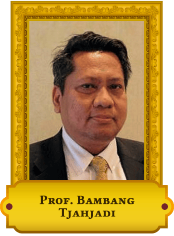 Professor Bambang Tjahjadi copy